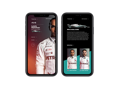 F1 Mobile interface adobexd application f1 formula1 ui uidesign uiux user experience user experience design ux