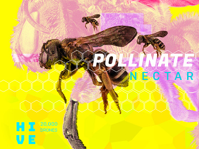 Pollinator collage design nature photography photoshop typography