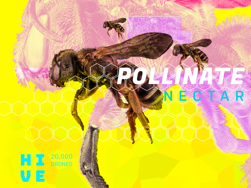 Pollinator by Bryan Murphy on Dribbble