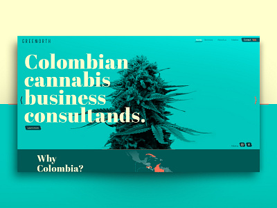 GREEN NORTH - Colombian cannabis business