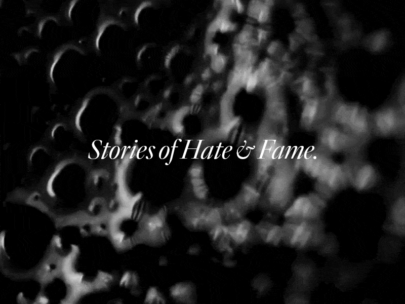 Stories of Hate & Fame. announcement blog bonne marque grid interviews parallax stories