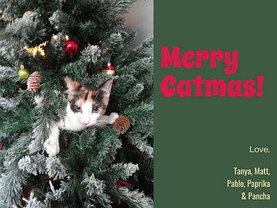 Catmas Card