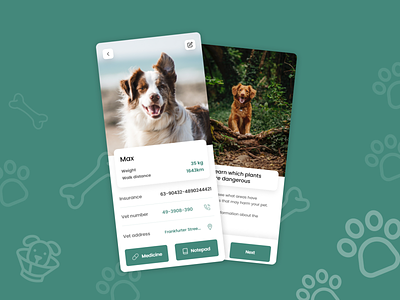 DogTag - Take care of your best buddy! animal app bestfriend cat design dog hospital insurance mobile pet ui