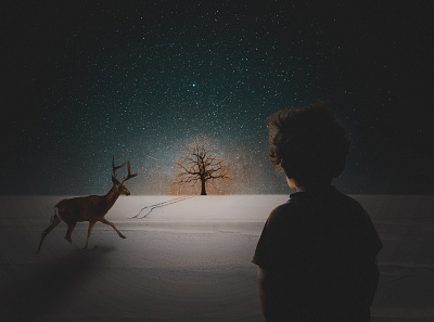 The boy and impala go to the magic tree. alter ego boy gazelle impala manipulation photoshop star tree