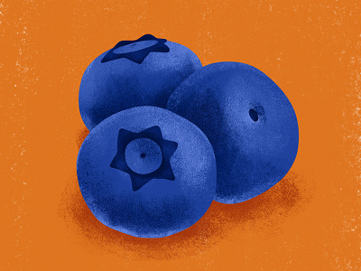 Blueberries adobe fresco blueberry color digital painting food illustration food illustrations fresco fruit fruit illustration fruity illustration summer summertime summery