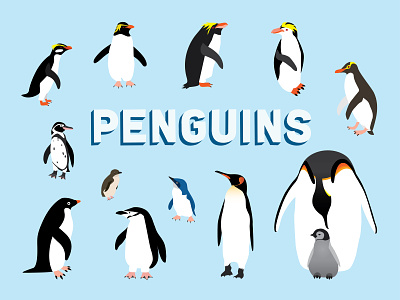 Penguin Icons adobe illustrator animals emperor penguin icon set illustration penguins