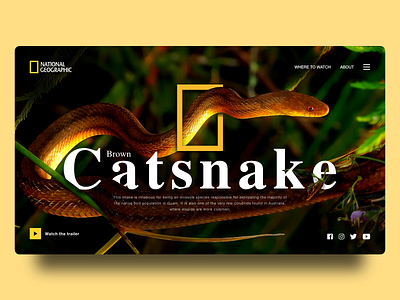 National Geographic Web Design design national geographic snake web web design webdesign website