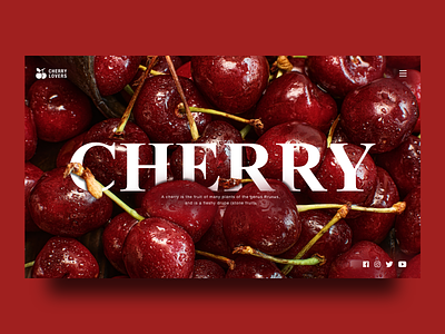 Cherry Lovers Web Design cherry design ui ux web web design webpage website website design