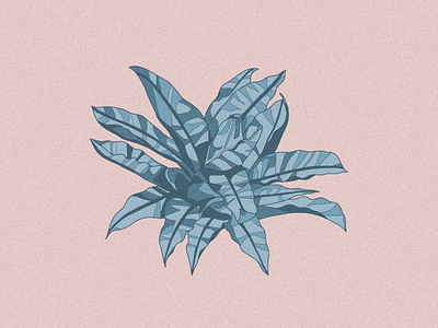 leafy blues adobe illustrator design graphic design illustration illustrator plant plant illustration procreate texture vector