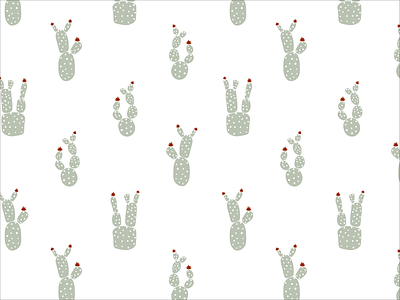 Cactus Collection art licensing illustrator licensing pattern collection pattern portfolio pattern print patterns repeat patterns seamless patterns surface pattern design
