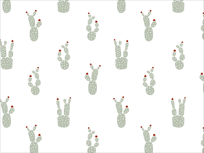 Cactus Collection