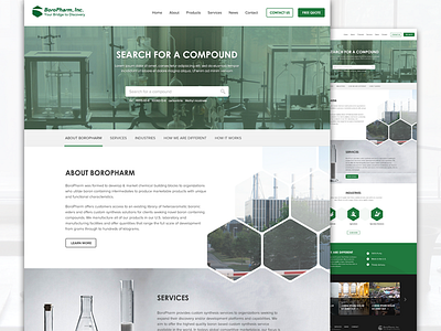 Boropharm - Specialty Chemical Development and Manufacturing chemistry client work finally launched home page portfolio ui ux web web design