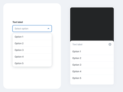 Basic select for desktop and mobile select