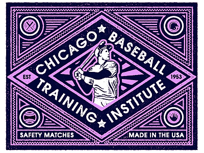 Chicago Baseball Training Institute