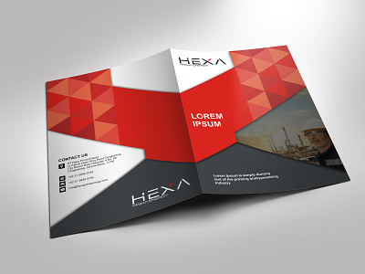 Hexa Company Profile Project