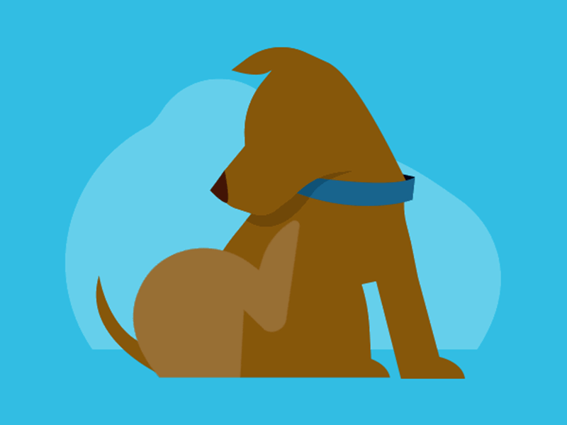 scratching dog animation dog fleas icon illustration loop vet