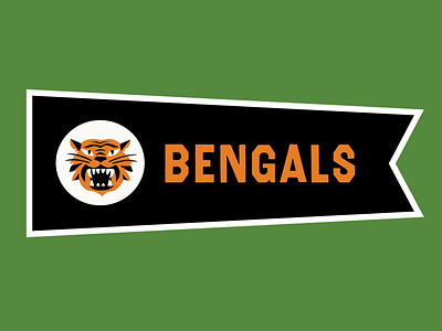 Cincinnati Bengals bengals cincinnati illustration nfl pennant type typography