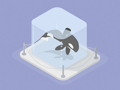 Whale captivity animal captivity illustration vector vectorart whale
