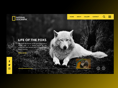 National Geogprahic Sample Landing Design design ui ui design uiuxdesign ux design