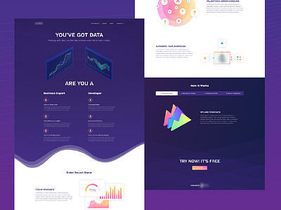 WIP Data startup landing page