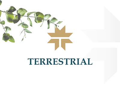 Terrestrial logo design