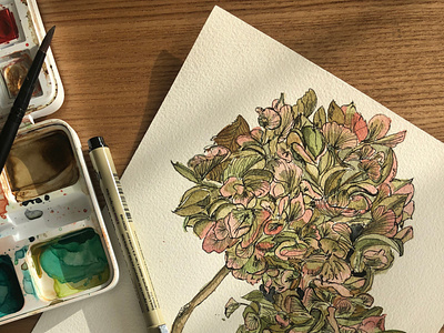 Flowers - Illustration