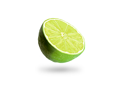 Lime Sketch drawing lime sketch