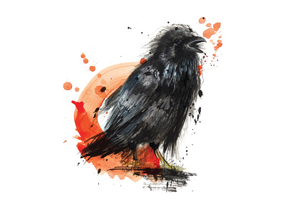 Watercolor crow