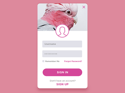 Daily UI #001: Sign up dailyui form login sign ui up