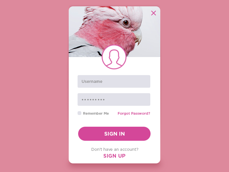 Sign up daily ui 001