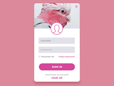Daily UI #001: Sign up