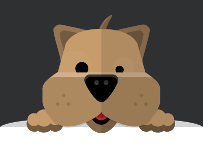 Flat Shnauzer Dog