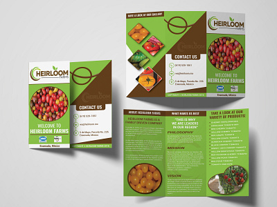 Tri-Fold Brochure bifold brochure bifold brochure design brand design brand identity branding branding design brochure brochure design brochure layout brochure mockup brochure template flyer graphic design print design professional trifold brochure trifold brochure design