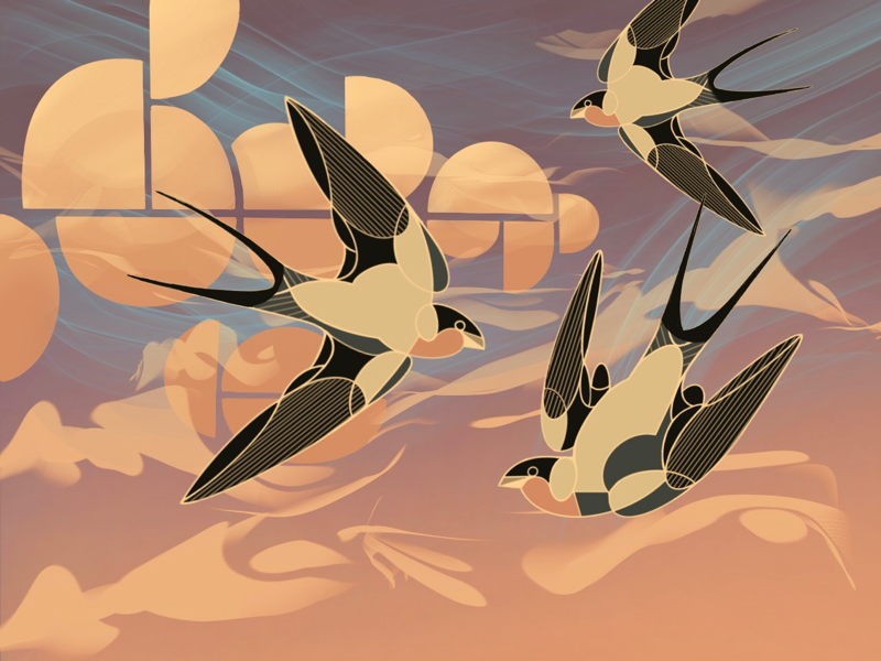 Swallows background  Bird illustration Art wallpaper Pattern design  inspiration