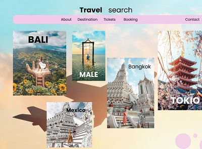 Travel Website Design travel web website website design