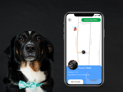 19 LocationTracker design dog dog walking doge good boy location tracker uiux