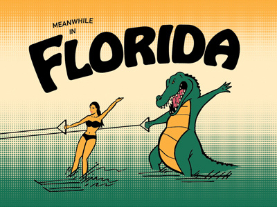 Meanwhile In Florida florida gator illustration illustrator postcard