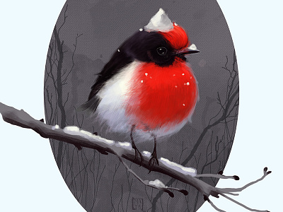 Bird in the snow bird red snow