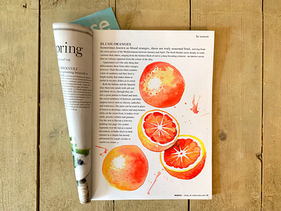 Blood Oranges editorial editorial illustration food food illustration food magazine orange oranges paint painting waitrose watercolour watercolour painting watercolours