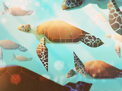 Turtles animals digital illustration james gilleard sea turtles