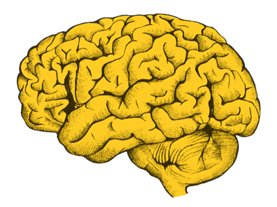 Brain brain drawing illustration ink pen yellow