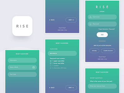 Rise Health Application - Login