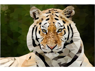 Tiger animals animation art illustration illustrator low poly tiger