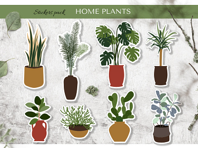 Home plants stickers branding design digital illustration plant sticker vector