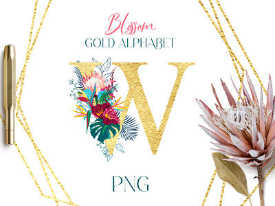 Blossom Africa alphabet branding design flower golden illustration letter vector