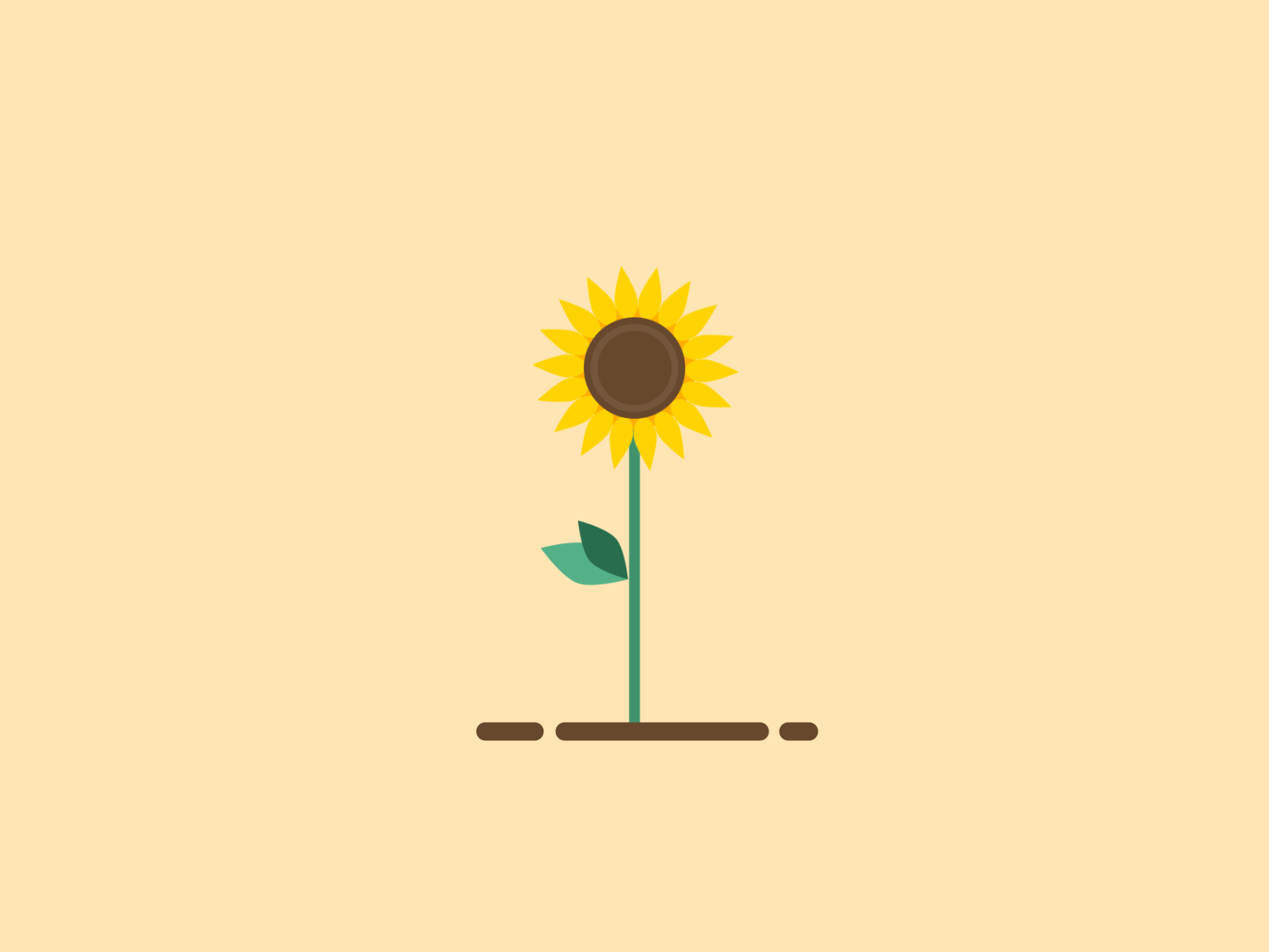 Sunflower after effects animation design flower gif loop motion design motion graphics sunflower