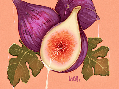 Day 1 Kinktober art botanical fig illustration kinktober