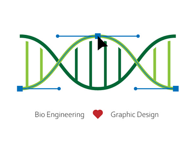 BioE & GraphicD illustrator love