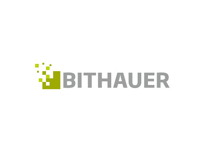 Bithauer Logo branding branding and identity design logo vector