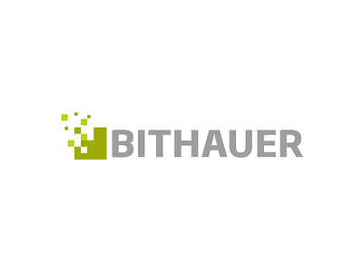Bithauer Logo